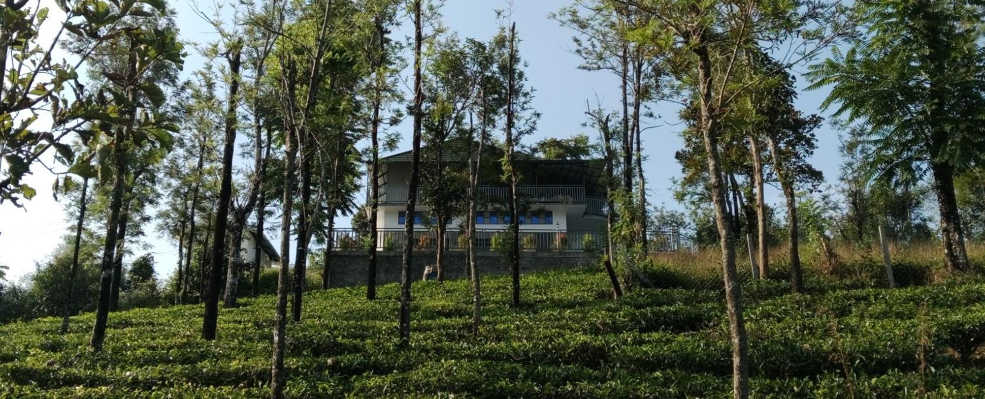 M R Holiday Home Вагамон Екстер'єр фото